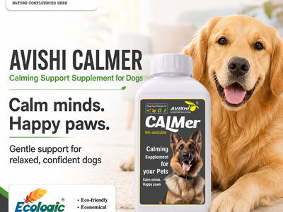 AVISHI CALMER
