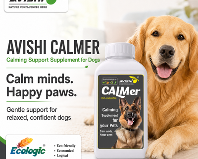 AVISHI CALMER