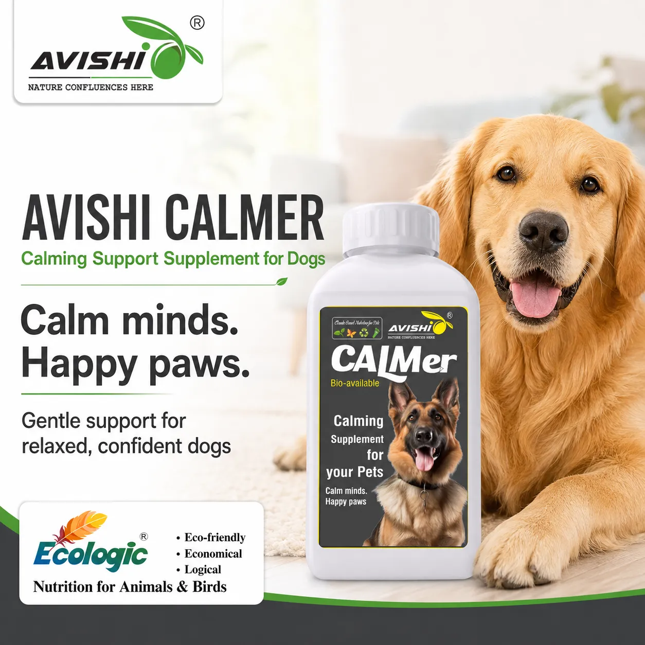 AVISHI CALMER