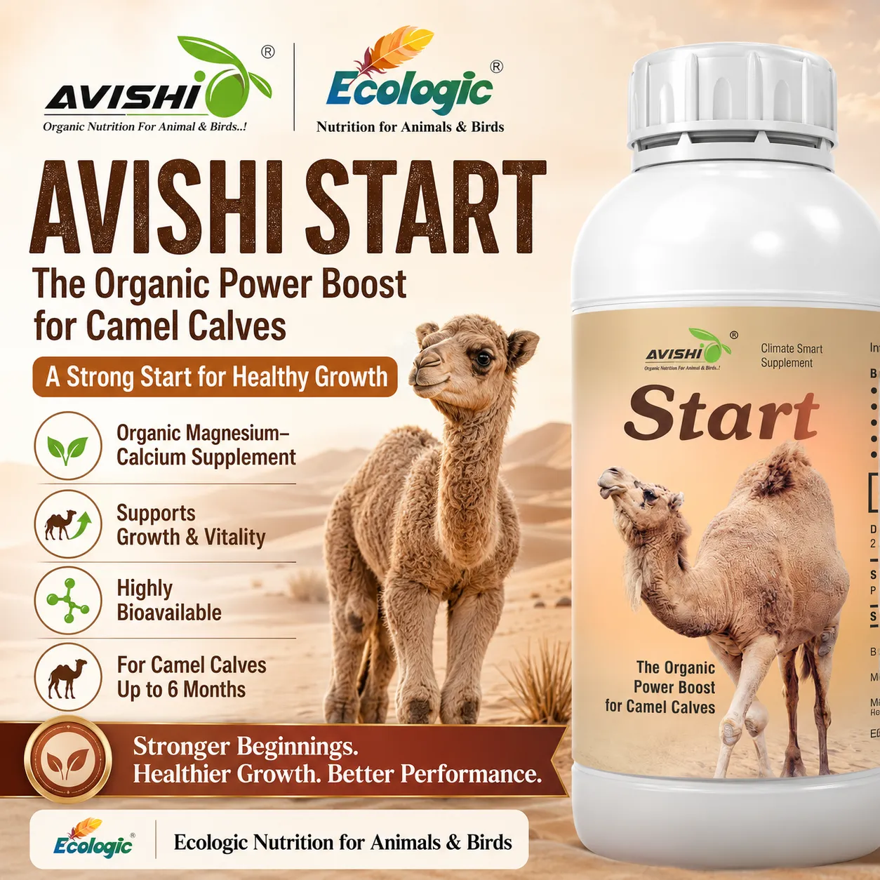 AVISHI START
