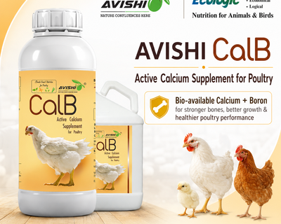 AVISHI CalB