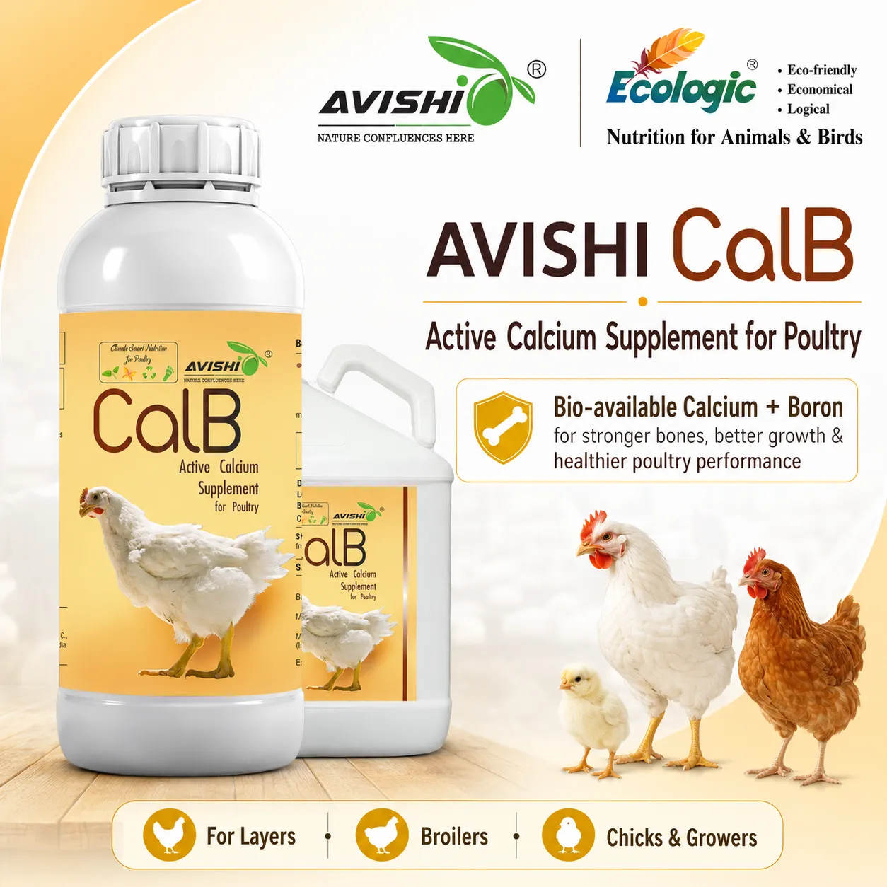 AVISHI CalB