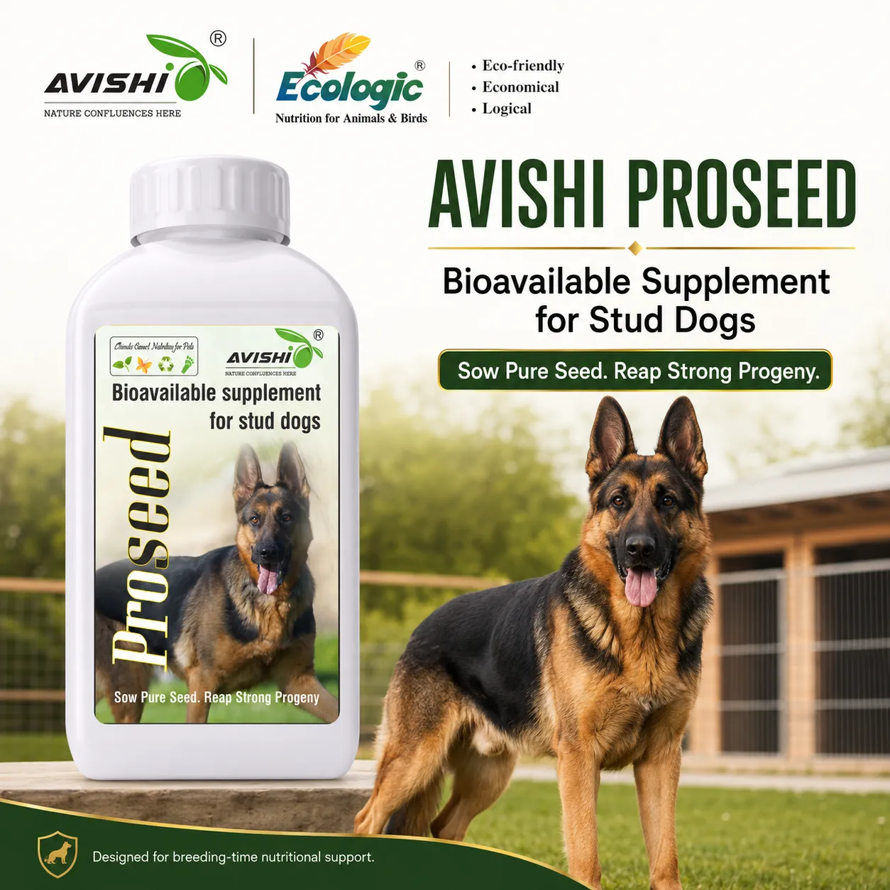 AVISHI PROSEED