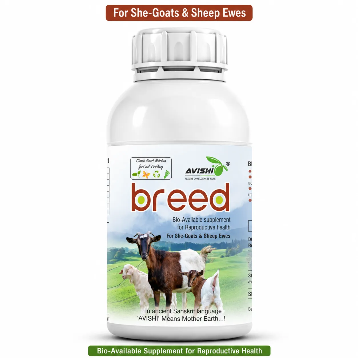 AVISHI BREED