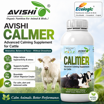 AVISHI CALMER