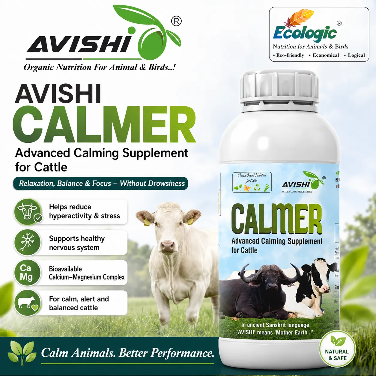 AVISHI CALMER