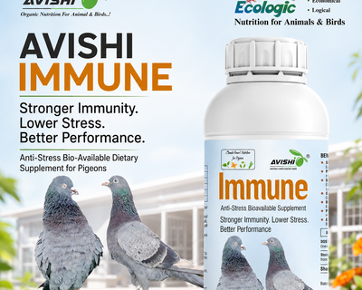 AVISHI IMMUNE