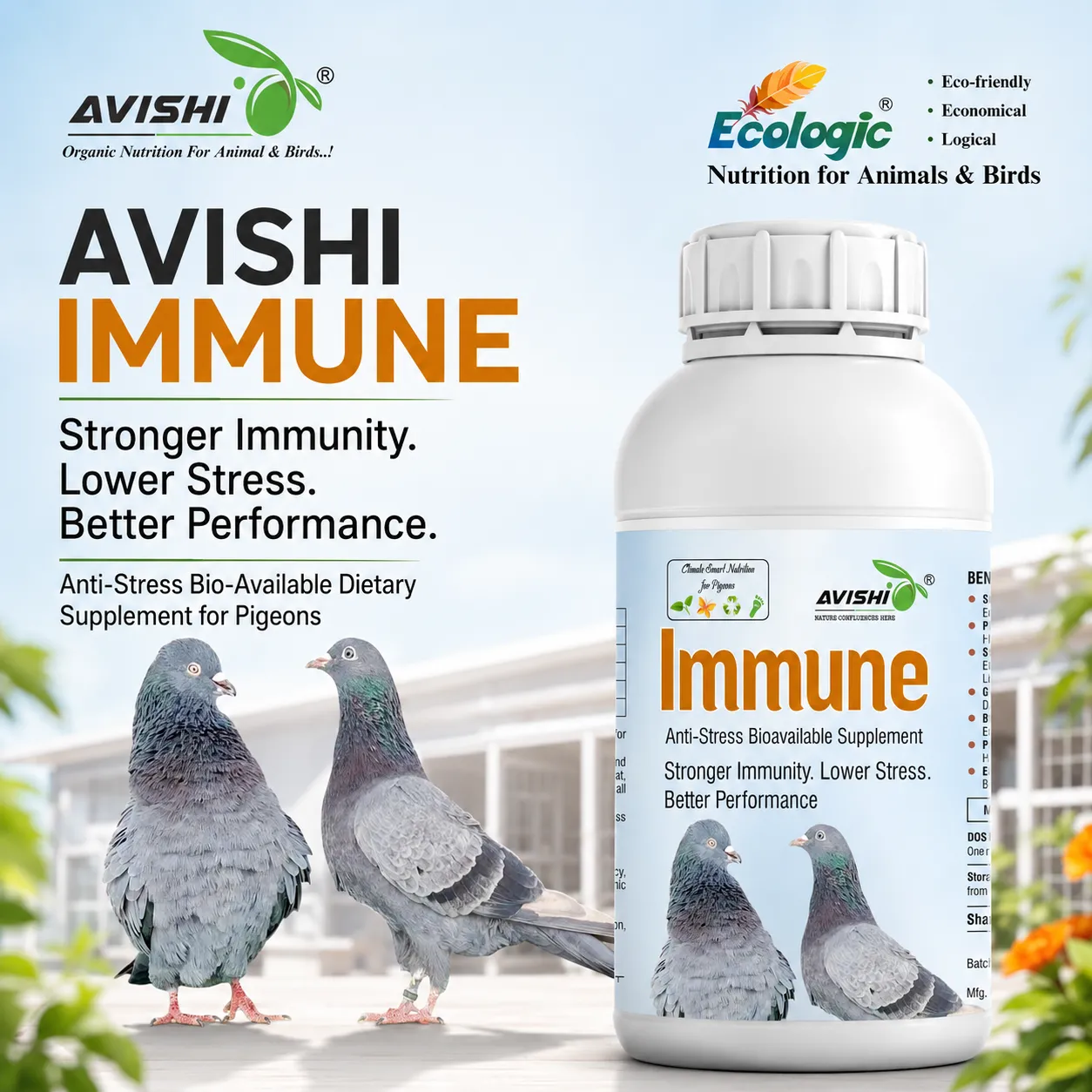 AVISHI IMMUNE