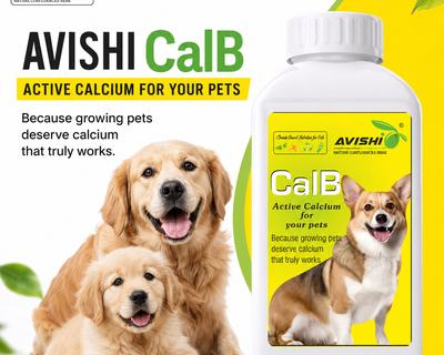 AVISHI CalB