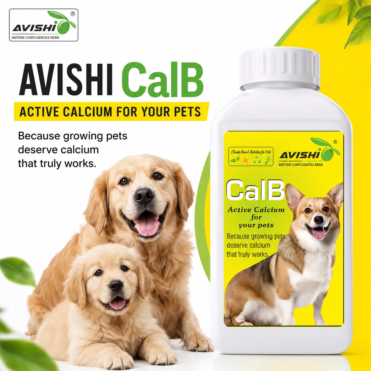 AVISHI CalB