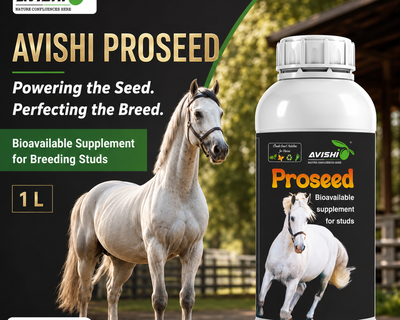 AVISHI PROSEED