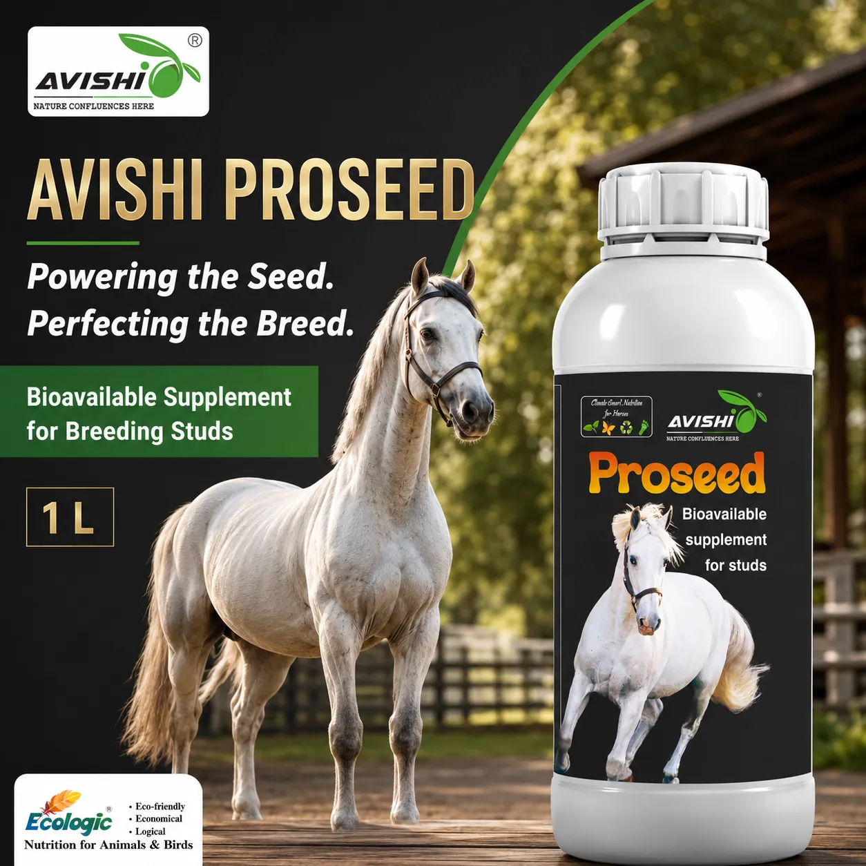 AVISHI PROSEED