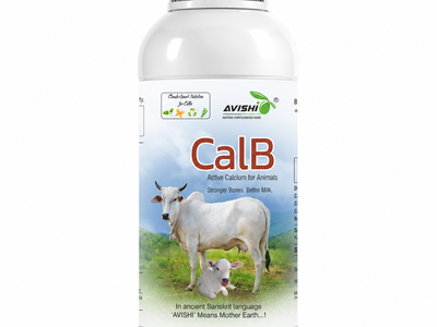 AVISHI CalB