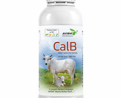 AVISHI CalB