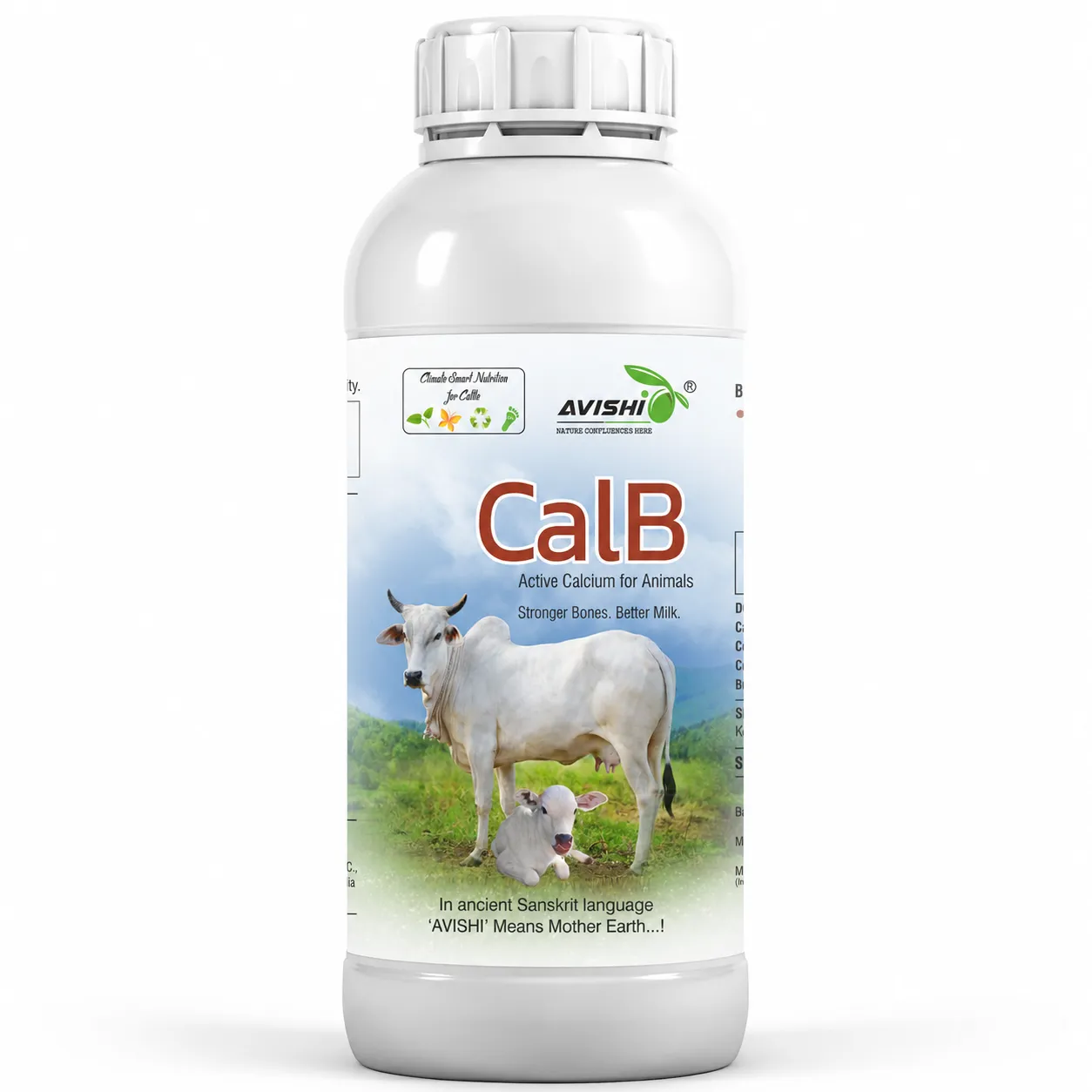 AVISHI CalB