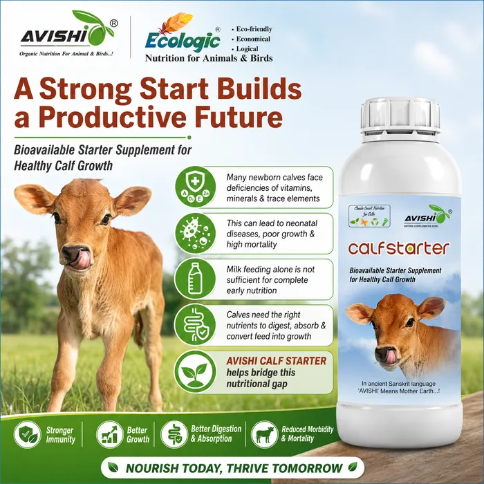 Avishi Calf Starter Clinical Information