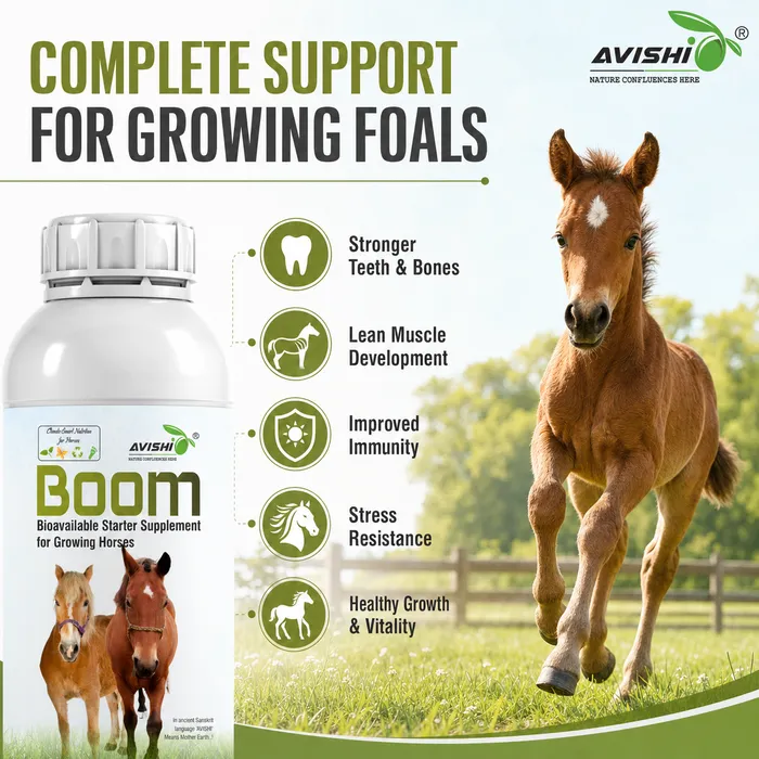 Avishi Boom Clinical Information