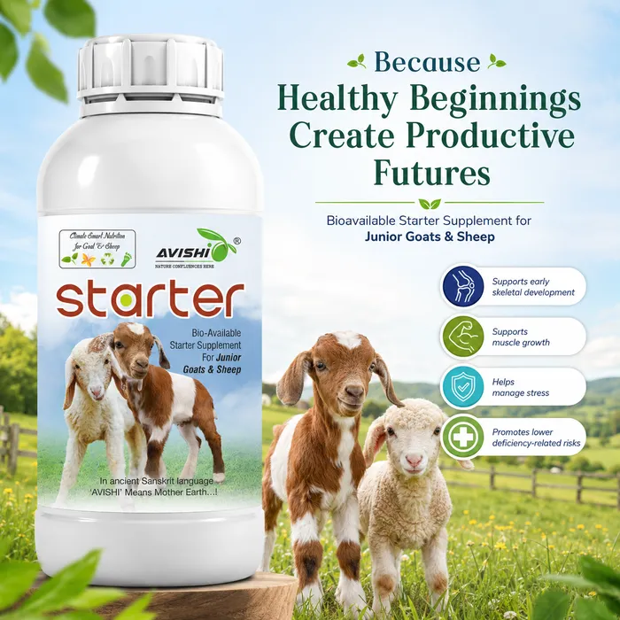 Avishi Starter (Goat & Sheep) Clinical Information