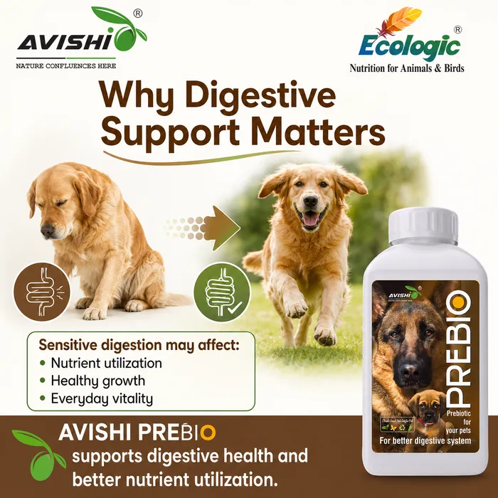 Avishi Prebio (Canine) Clinical Information