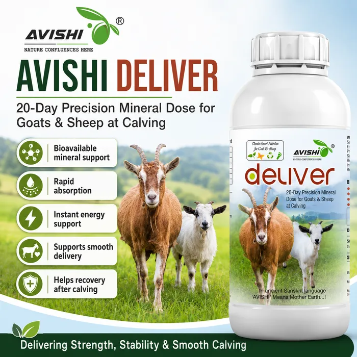 Avishi Deliver (Goat & Sheep) Clinical Information