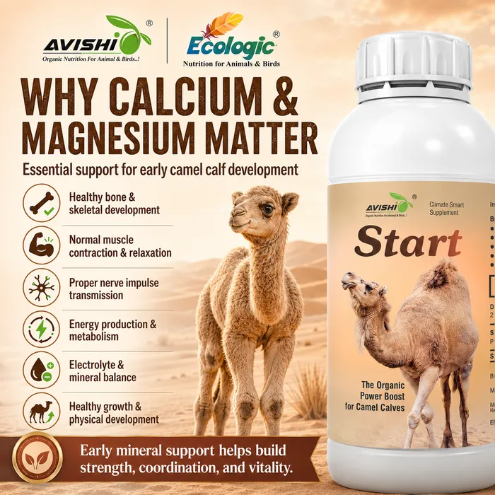 Avishi Camel Range Clinical Information