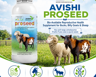 AVISHI PROSEED