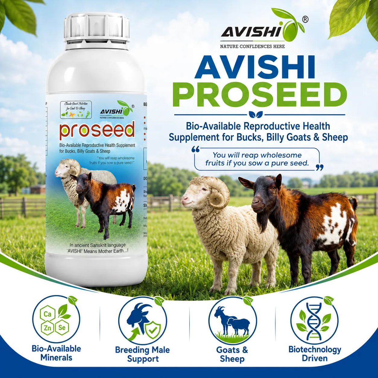 AVISHI PROSEED