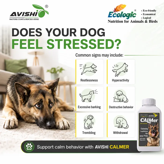 Avishi Calmer (Canine) Clinical Information