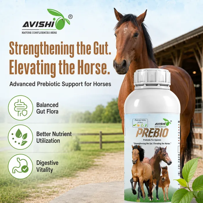 Avishi Prebio (Equine) Clinical Information