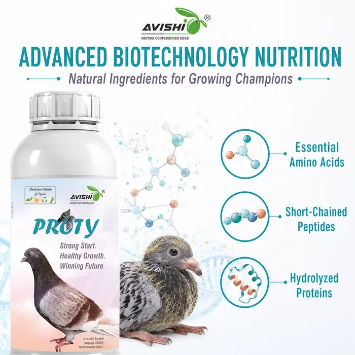 Avishi Proty Clinical Information