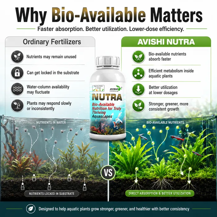 Avishi Nutra Clinical Information