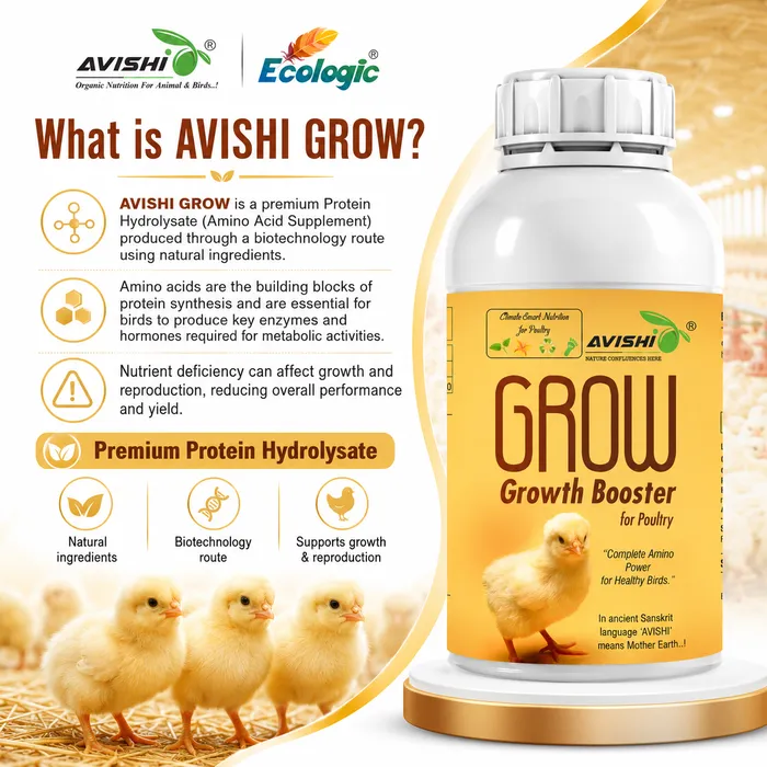 Avishi Grow Clinical Information
