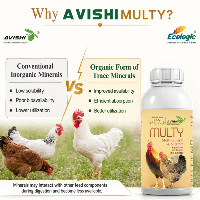 Avishi Multy Clinical Information