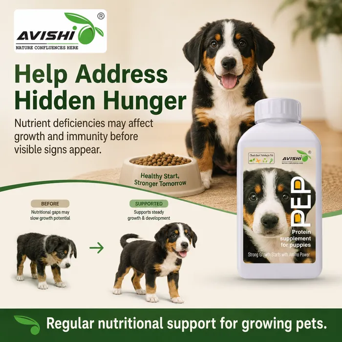Avishi Pep Clinical Information