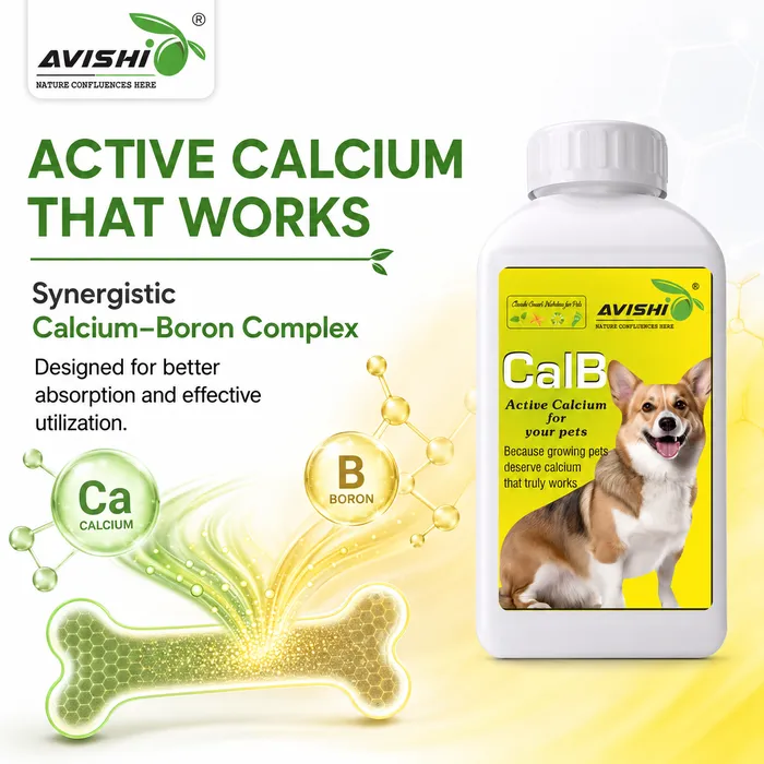 Avishi CalB (Canine) Clinical Information