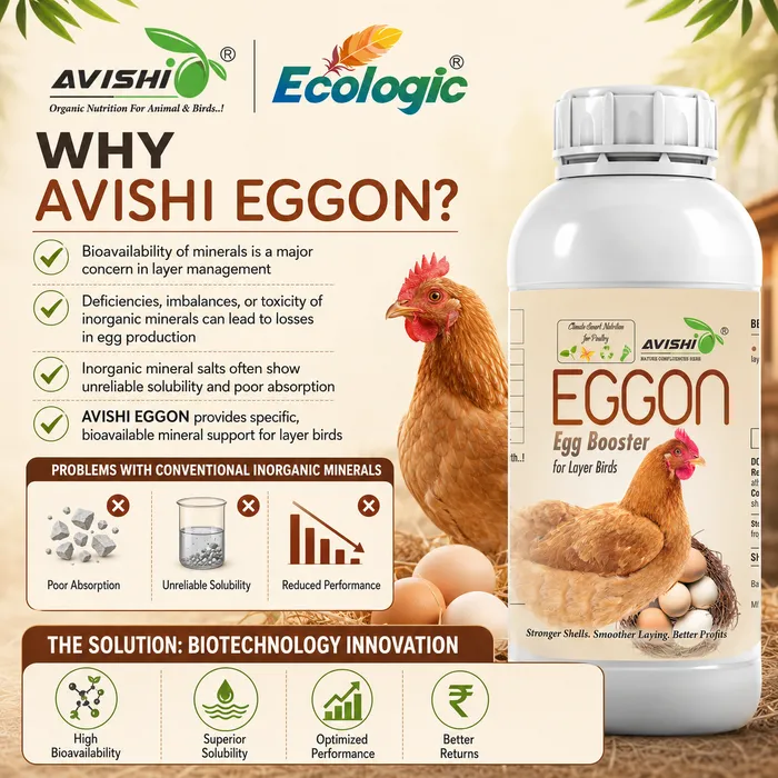 Avishi Eggon Clinical Information