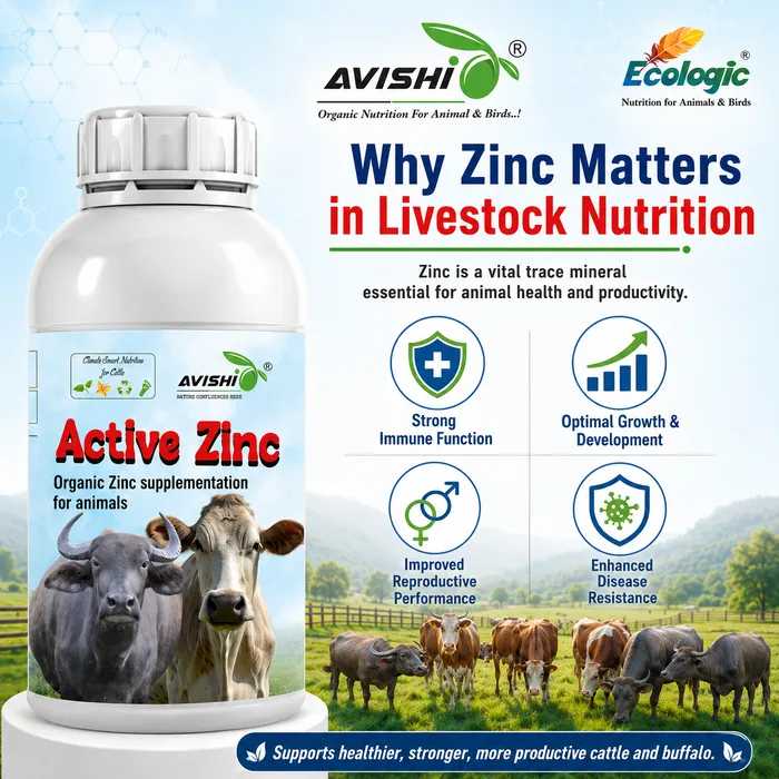 Avishi Active Zinc Clinical Information