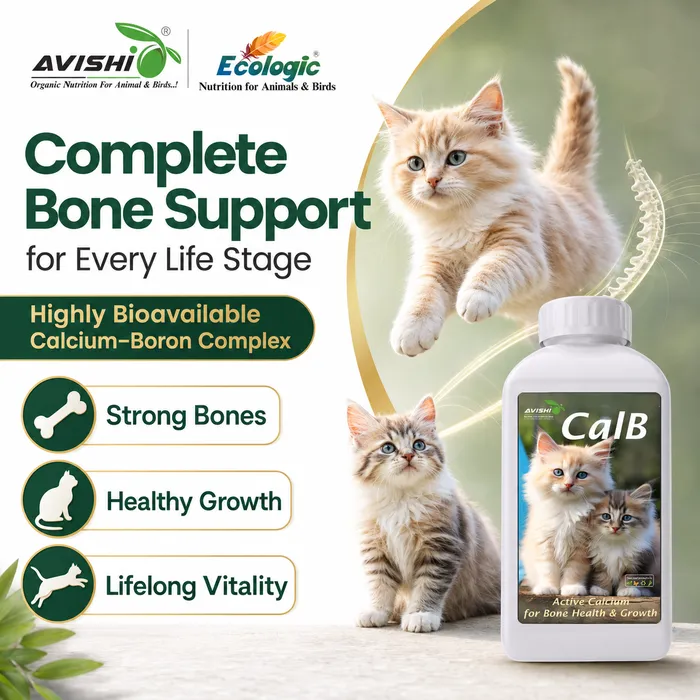 Avishi CalB (Feline) Clinical Information