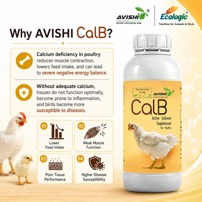 Avishi CalB (Poultry) Clinical Information