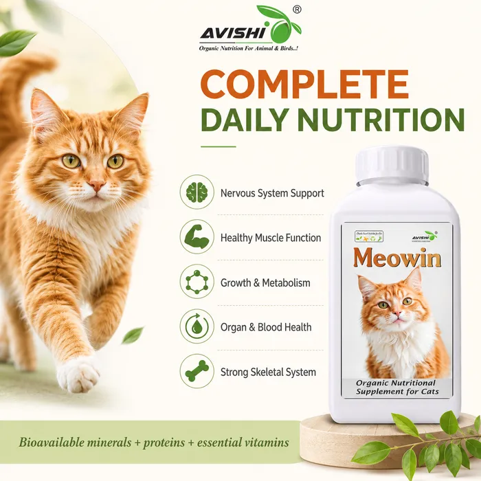 Avishi Meowin Clinical Information