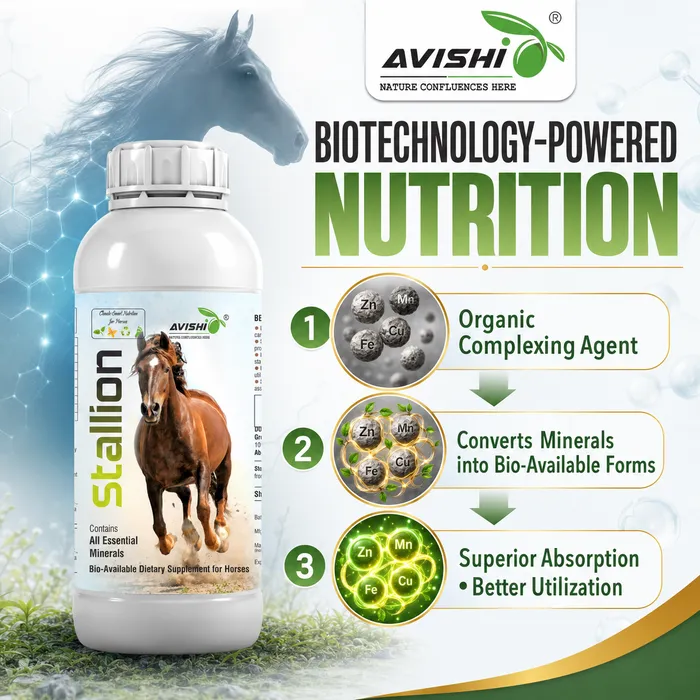 Avishi Stallion Clinical Information