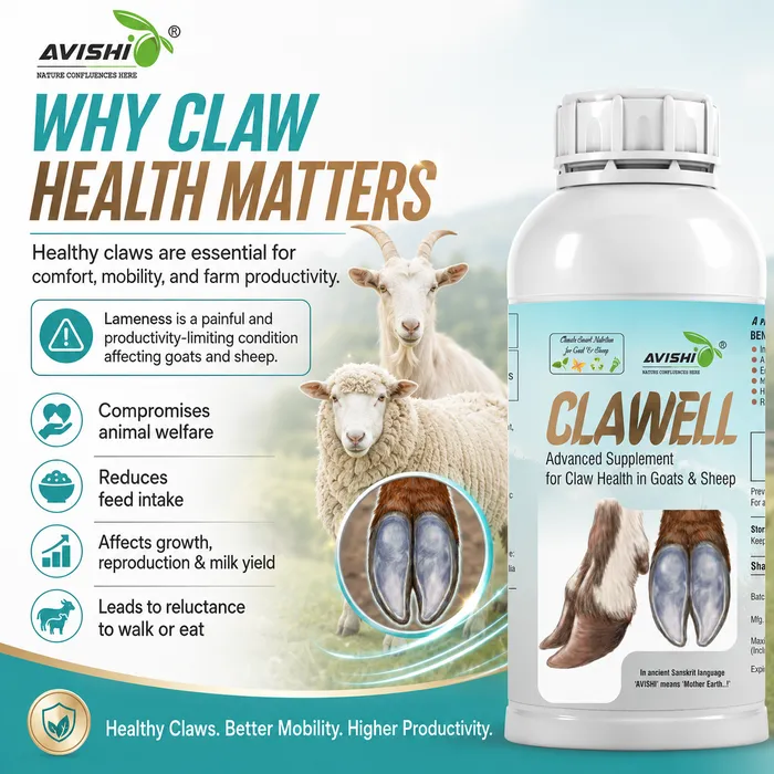 Avishi Clawell (Goat & Sheep) Clinical Information
