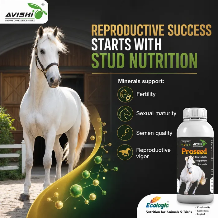 Avishi Proseed (Equine) Clinical Information