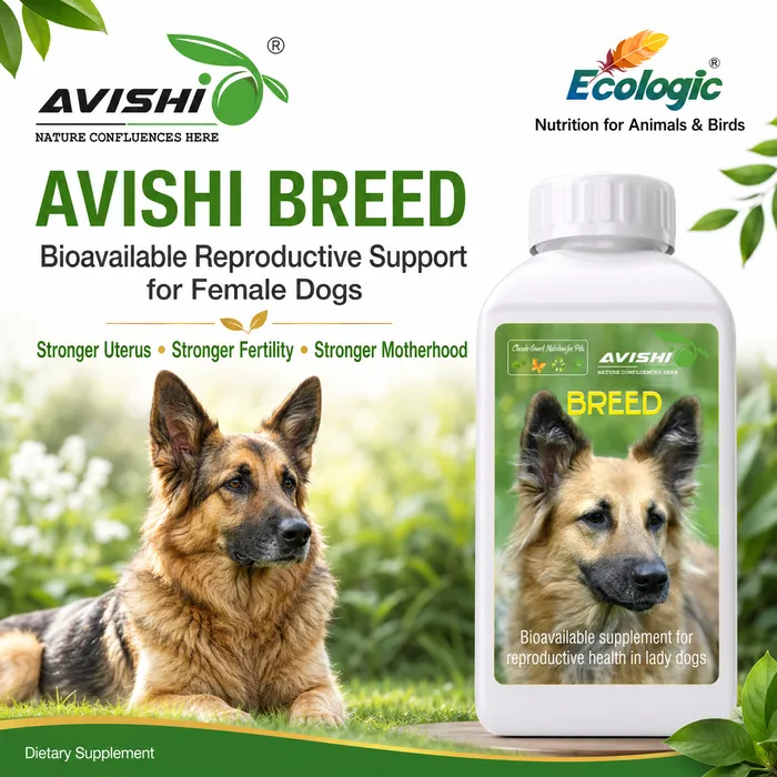 Avishi Breed (Canine) Clinical Information