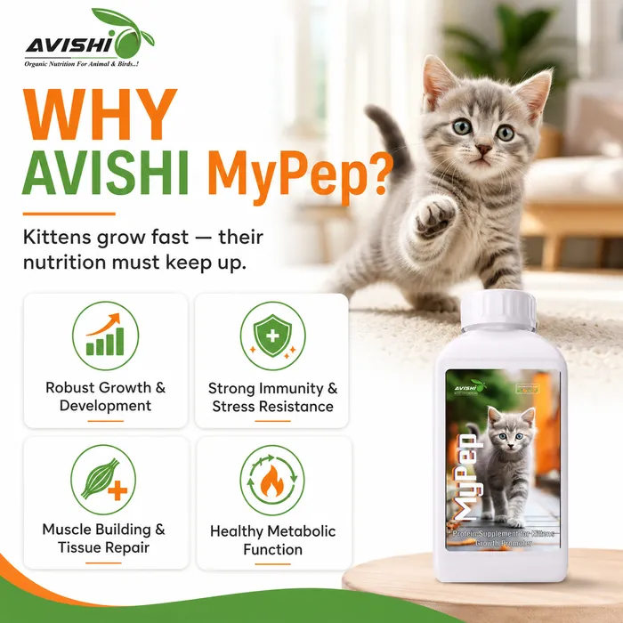 Avishi Mypep Clinical Information