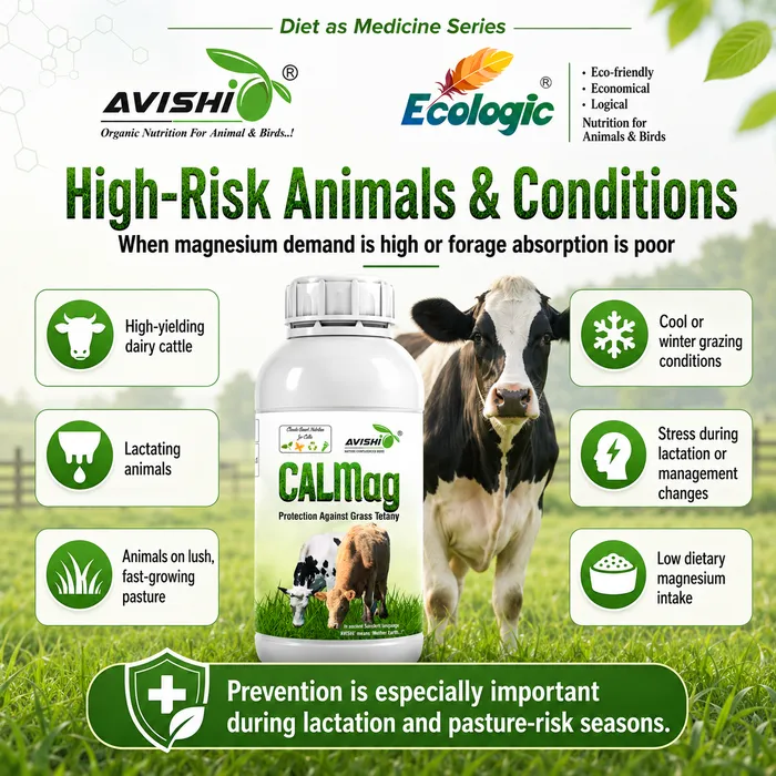 Avishi CalMag (Cattle) Clinical Information