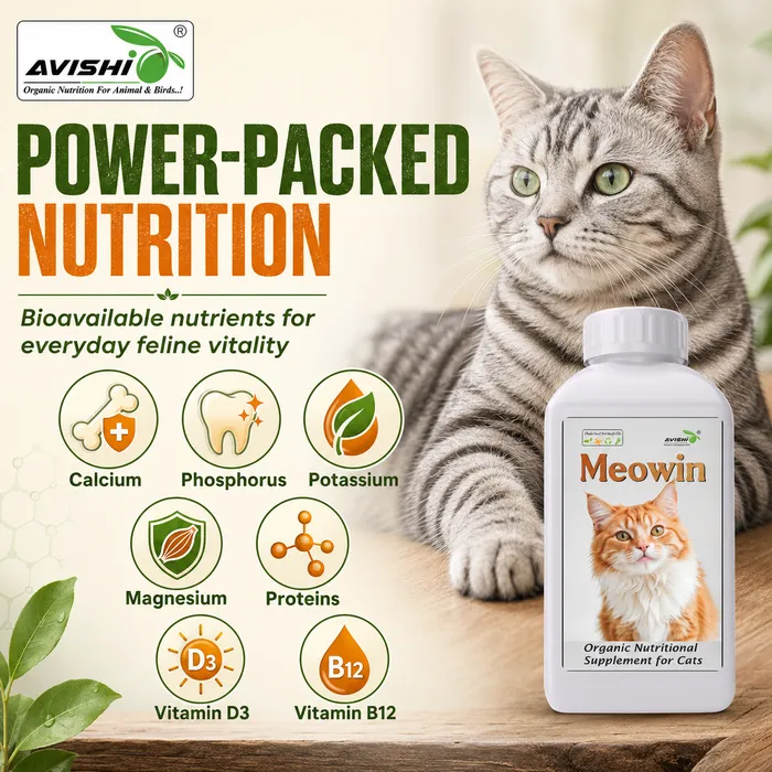 Avishi Meowin Clinical Information