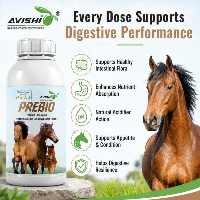 Avishi Prebio (Equine) Clinical Information