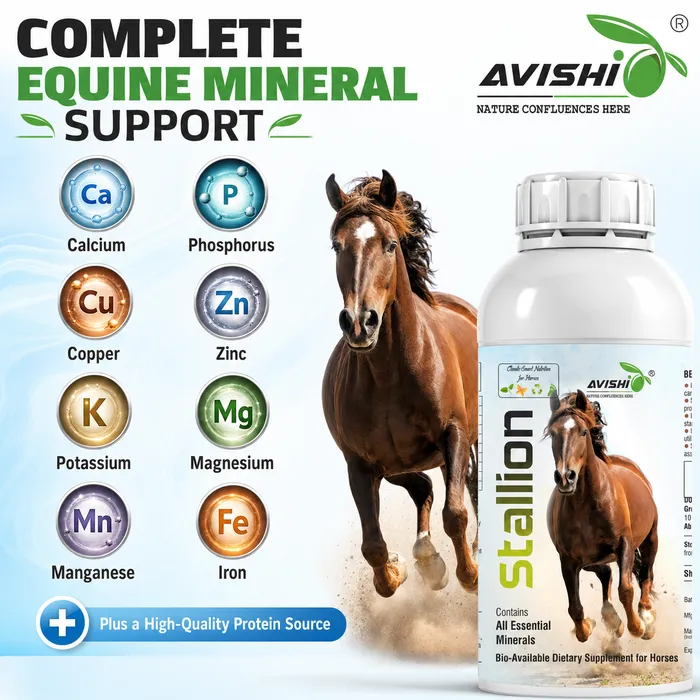 Avishi Stallion Clinical Information