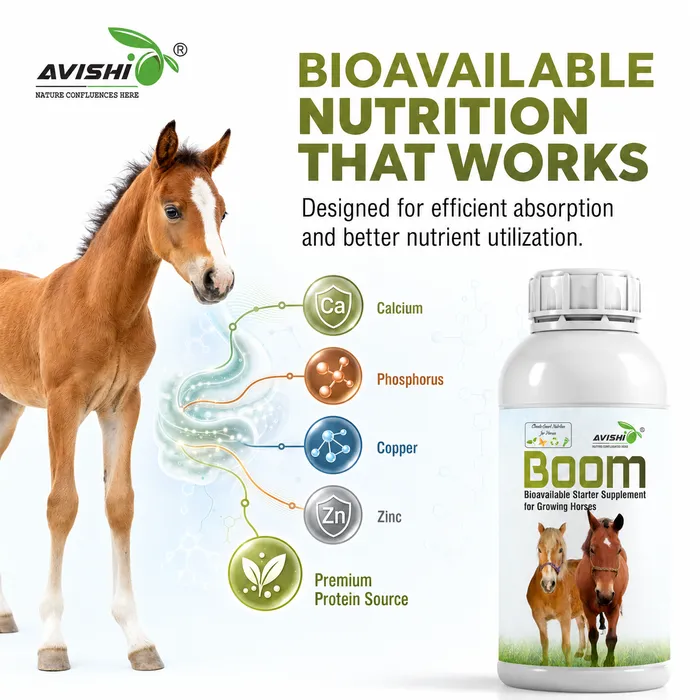 Avishi Boom Clinical Information